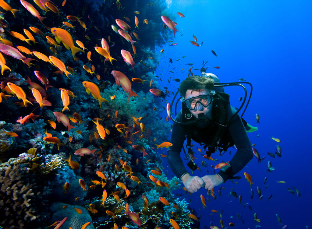 Photos-for-free-dive