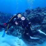 Okinawa Diving