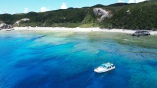 Kerama vs Manza: Which Okinawa Dive Area Should You Choose?