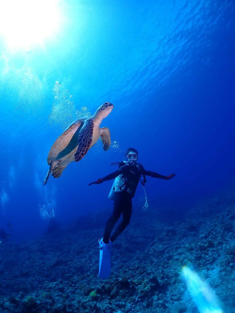 沖縄の海を泳ぐウミガメと人