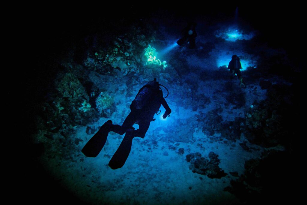 Night diving in Okinawa